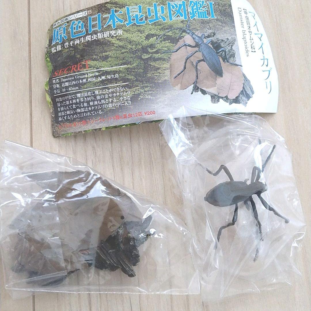Amazon.co.jp: ユージン 原色日本昆虫図鑑 Ⅰ シークレット